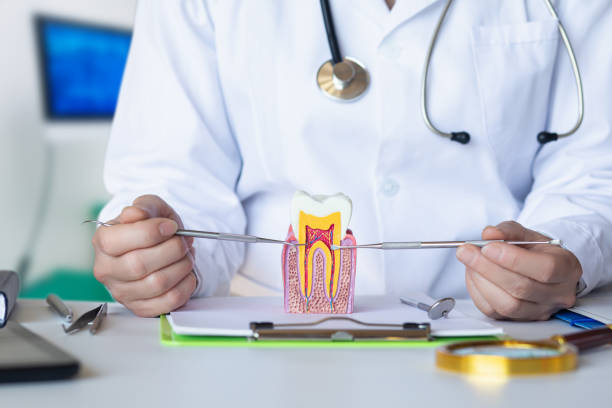 Best Same-Day Emergency Dentist in Edgemont Park, MI